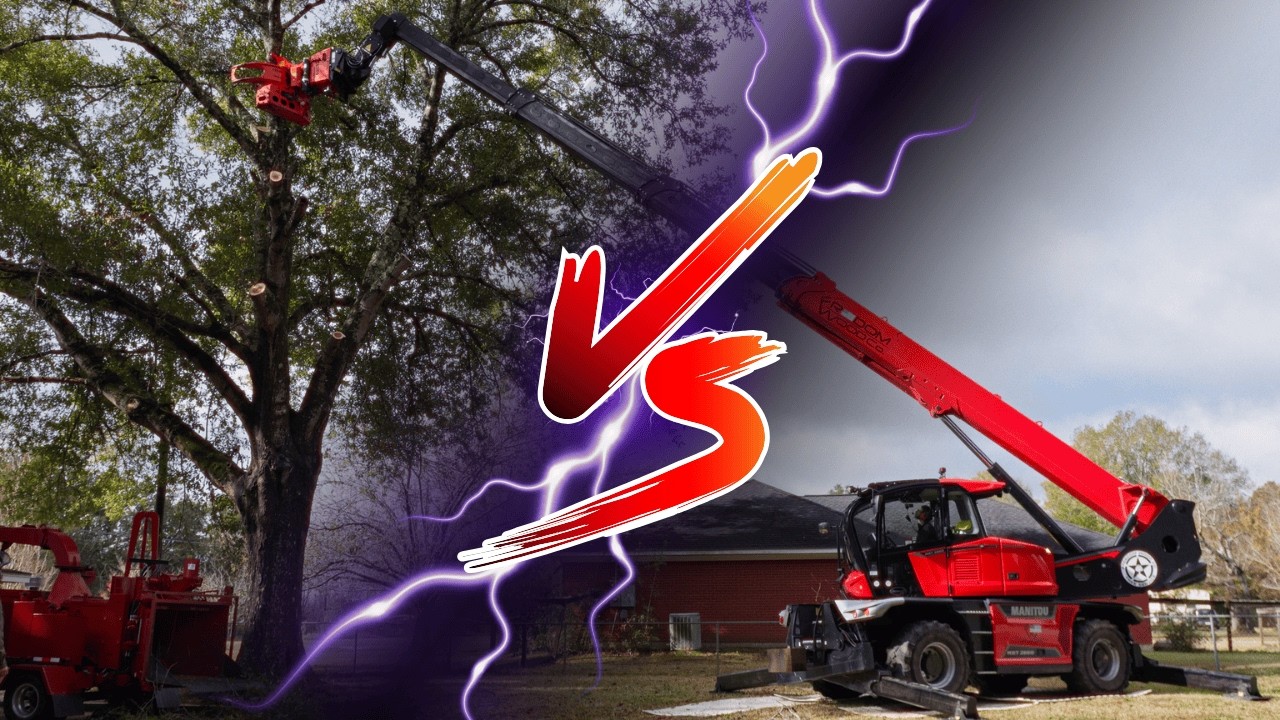 Дуб водяной против журавля Маниту. Второе дерево – абсолютно сухое!