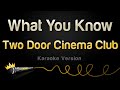 Two door cinema club  what you know karaoke version