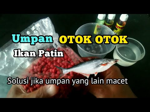 Cara Membuat Umpan Otok Otok