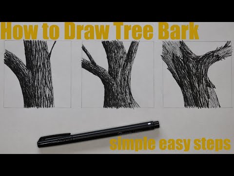 Video: Lee Hammond How To Draw Tree Bark In Pencil