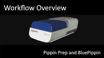 Pippin Workflow Overview