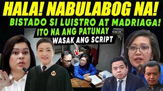 Top Judge Supreme Court VP Sara Impeachment Trial Luistro Trillanes Delima Ridon Panic