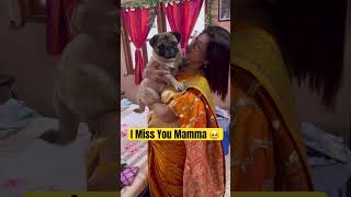 Download Lagu You’re My Best Friend 💖 #trending #love #pug #pets #dogshorts #subscribe #views #viralvideo MP3 Download Lagu You’re My Best Friend 💖 #trending #love #pug #pets #dogshorts #subscribe #views #viralvideo MP3