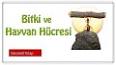 Bitki Hücresi ve Hayvan Hücresinin Benzer ve Farklı Yönleri ile ilgili video