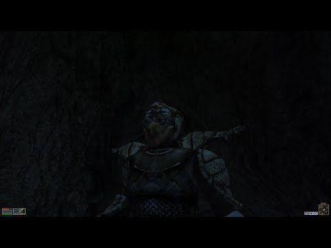 Видео: Пещеролаз - Morrowind