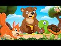 Lovely Animal Sounds: Brown Bear Cub, Turtle, Red Squirrel, Wallaby, Crab - Animal Videos