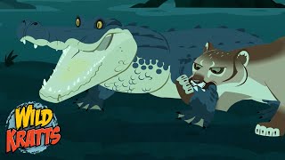 Creature Battles! | Every Creature Showdown Part 15 | New Compilation | Wild Kratts by Wild Kratts - 9 Story 83,216 views 2 weeks ago 10 minutes, 50 seconds