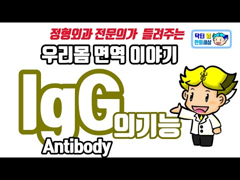 만화로 보는 면역학의 모든 것 - 항체 G - IgG