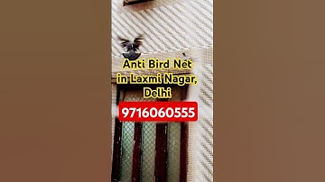 Top Anti Bird Net Dealers in Laxmi Nagar, Delhi । Top Bird Netting Services in Laxmi Nagar Delhi
