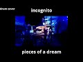 incognito - pieces of a dream