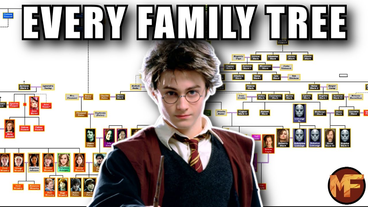 ⁣How EVERY Harry Potter Character is RELATED (All Family Trees Explained)