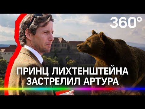 Принц Лихтенштейна застрелил Артура - самого известного в Европе медведя. Его ищет полиция Румынии