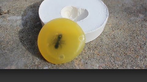 STEAM lesson- Making Fossils 3rd