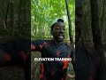 elevation training for 100 mile trail run