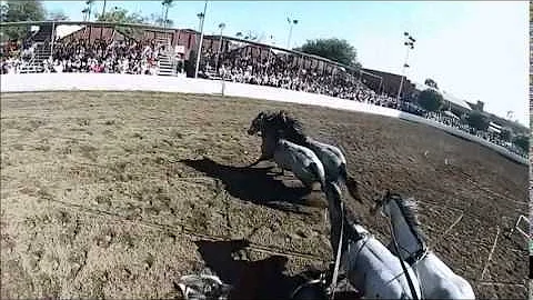 GoPro Footage Kyzer Roman Riding With 6 Horses at ...
