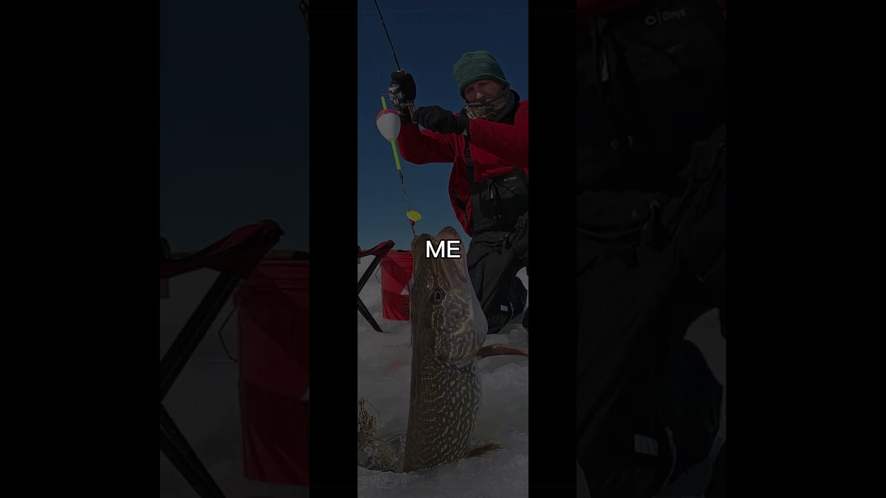 Ice fishing 🔛🔝 #fishing #fun #icefishing