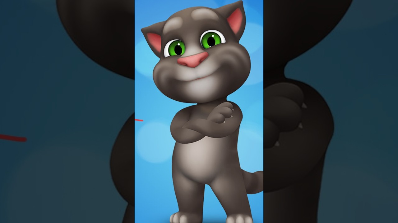 Talking Tom cat