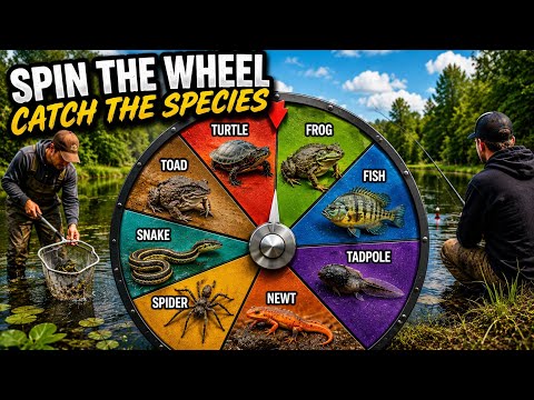 Spin the Wheel Catch the Species!!!