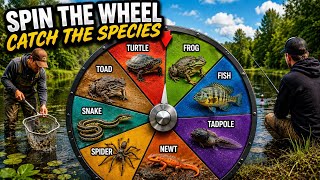 Spin the Wheel Catch the Species!!!