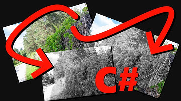 Make a GDI+ Region Black & White in C# (GDI+/WinForms/System.Drawing) [PART 2 OF NEGATE REGION]