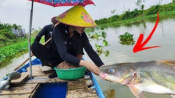 TUYỆT CHIÊU  Giăng Câu Cá Lăng Đơn Giản Nhưng Hiệu Quả Bất Ngờ | Lộc Cá Lăng Tập 2 | #fishing