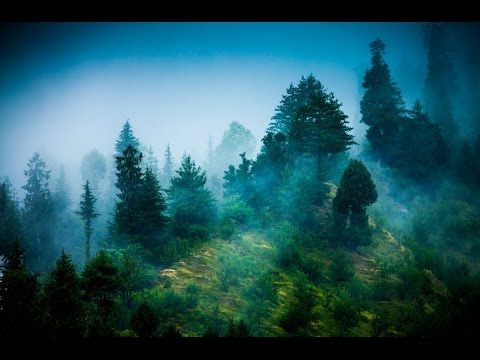 relaxing-zen-music,-positive-energy-music,-relaxing-music,-slow-music,-☯071