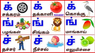 க்ங்ச்ஞ்/மெய்எழுத்துக்கள்/Meieluthukkal/Tamil alphabets for kids @PEEKABOO-ff8wq #meieluthukkal
