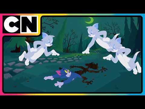 Tom Jerry A Magical Twist To The Cat Mouse Game Kids Cartoons Cnindia 