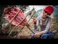 Solo Camping Girl | Grilled Fish Over Campfire in Nature | Relaxing ASMR &amp; Soft Music