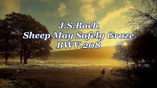 J.S.Bach：Sheep May Safely Graze BWV.208    J.S.バッハ：羊は安らかに草を食み《狩のカンタータ》