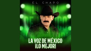 Para Que Regreses — trending on YouTube in United States