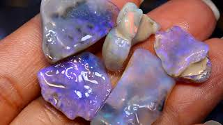 at www.trueblueopals.com @trueblueopals