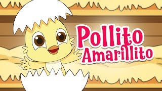 Mi Pollito Amarillito Canciones Infantiles De La Granja Vídeos Infantiles Dela Granja