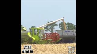 2026년5월17일 경제 및 시장분석