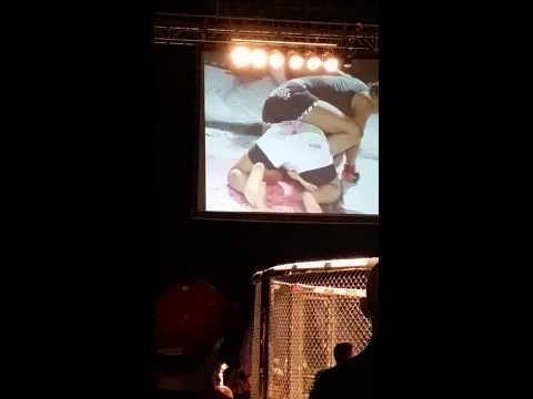 Fallon fox vs tamikka brents