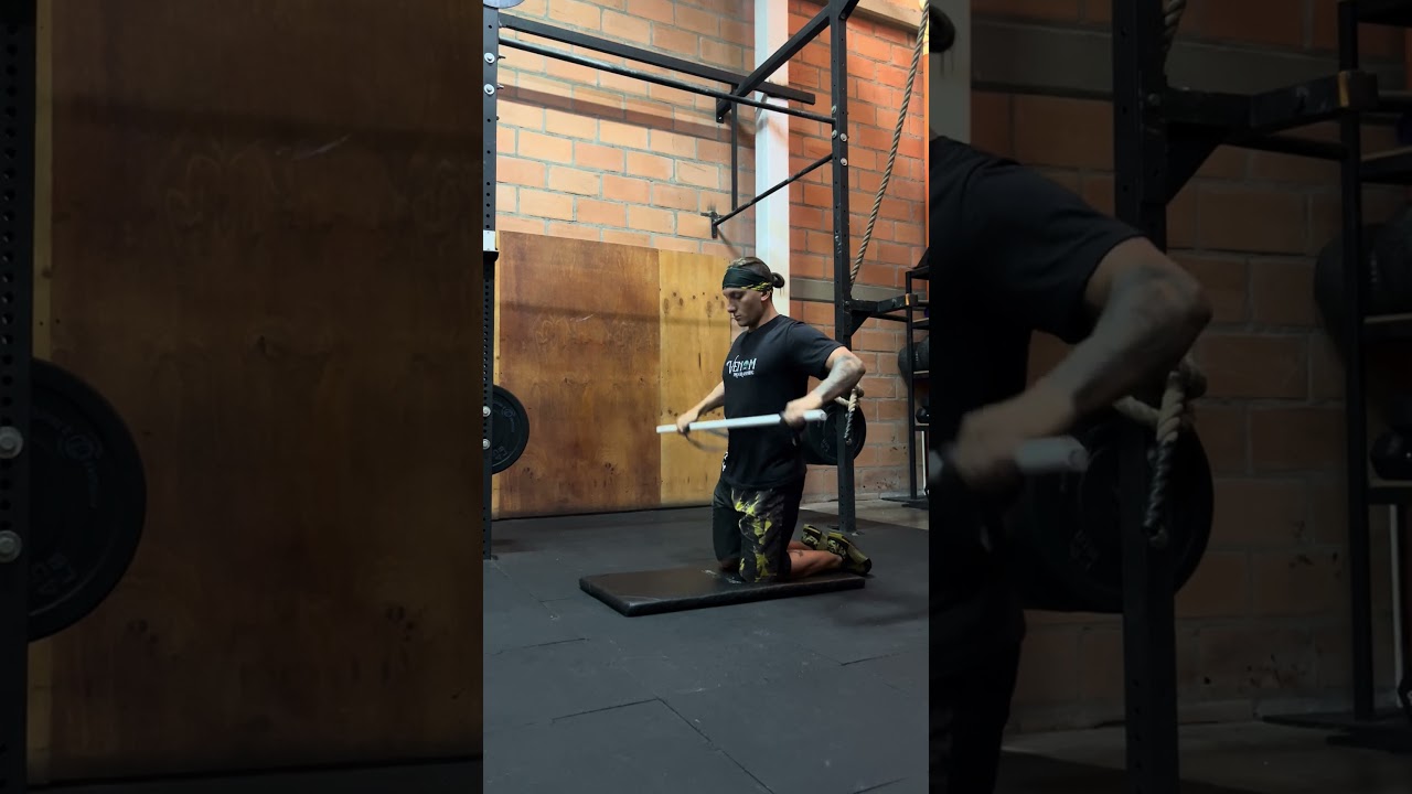 Banded in PVC Cat and Cow