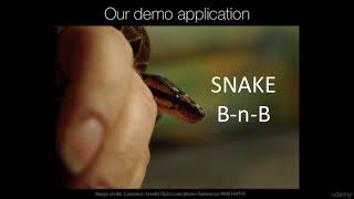 MongoDB and Python: Quick start