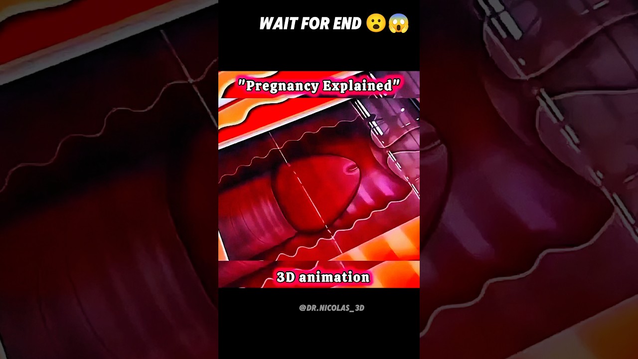 The Miracle of Life: 3D Animation of Conception to Birth 