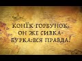 Конёк - Горбунок, он же Сивка-Бурка: КТО ЭТО?!