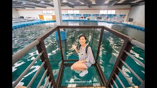 2019宜蘭礁溪親子景點【金車生技水產養殖研發中心】水族館 ...