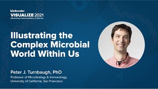 Illustrating the Complex Microbial World Within Us