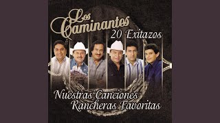 Video thumbnail of "Los Caminantes - Ay Palomita"