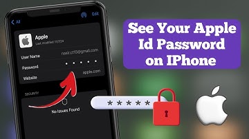 How to See Your Apple ID Password on iPhone | Easy 2 Method 