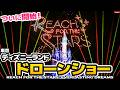期間限定！東京ディズニーランドドローンショー Reach for the Stars: Everlasting Dreams