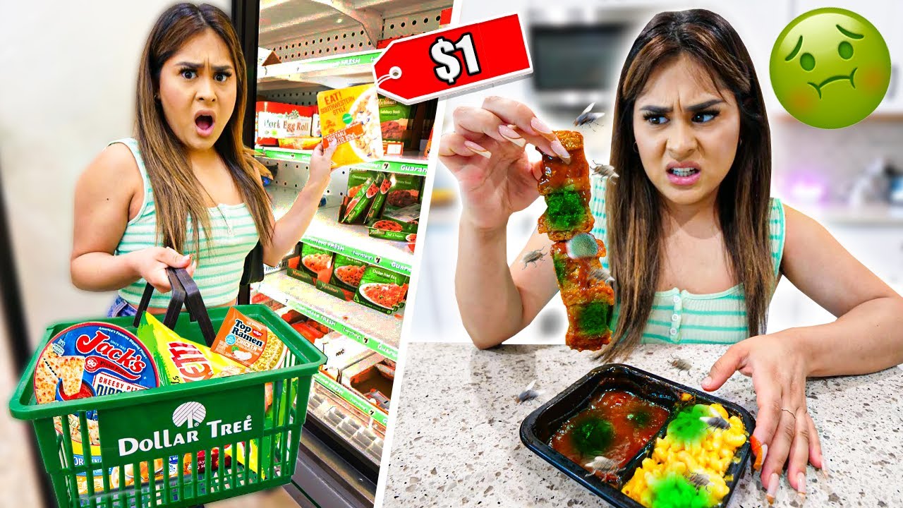 i only ate DOLLAR STORE FOODS for 24 hours!!! **bad idea**