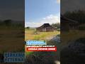 Perkebunan & peternakan domba SHM luas 7454m². Hrg 650jt. Ds.Gunukharjo, Wuryantoro, Wonogiri