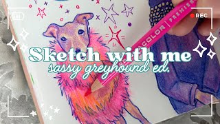 ✨  Sketch with Me! || Italian Greyhound Sketches || Sketch + Chat✨