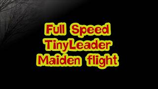 FullSpeed TinyLeader HD Maiden flight