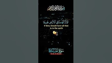 تلاوة عطرة من سورة المائدة #المصحف #اكسبلور