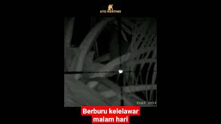 Berburu Kelelawar malam hari menembak tembak #menembak #shooting #berburu #kelelawar #burung